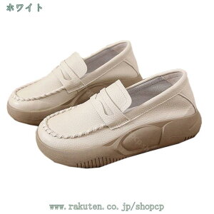 pvX [t@[ fB[X C ₷ ɂȂ V[Y [t@[pvX EhgD q[ Â _炩 d d ʊw ʋ ItBX w Ǝ 傫TCY 