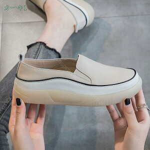 fB[X JV [t@[ hCrOV[Y i[XV[Y wlC s JWA ؂ ₷ pvX _炩 tbgV[Y fbLV[Y Vv ʋ 