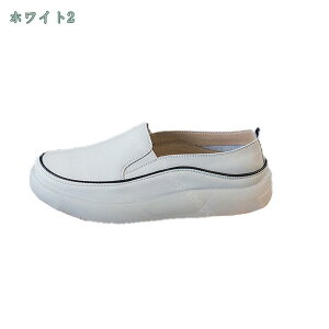 1000~OFFN[| Xb| [t@[Xb| fB[XV[Y i[XV[Y tbgV[Y y ʋC  s v[g fB[X _炩 ₷ }}V[Y 