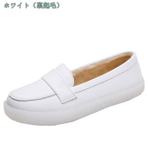 i[XV[Y fB[X ~ Xb| [t@[ tbg pvX  H t ~ JWAV[Y EH[LO RtH[gV[Y wlC ʋ ʊw ɂ  ꂢ