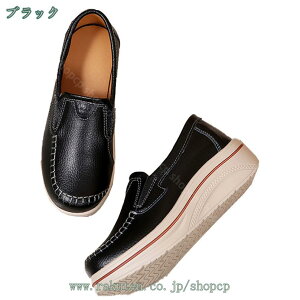 Xb| [fBX Xj[J[ r JWAV[Y 傫TCY ₷ TCY [q[ tbg Ȃ Xb| ₷ 킢 r ʋ ʊw