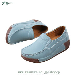 [t@[ fB[X JV Xj[J[ fB[X EH[LOV[Y hCrOV[Y D^ [t@[ fB[X i[XV[Y Xb|  [t@[ JW