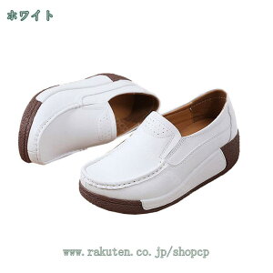 [t@[ fB[X  JV hCrOV[Y 5CM C gAbv r h ʋC ₷ tďH wlC JWAV[Y }jbVV[Y  y` X