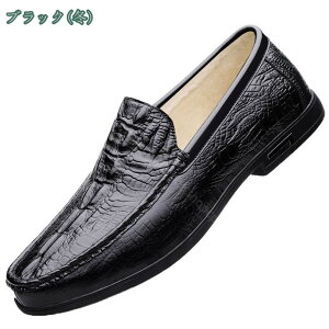 1000~OFFN[| [t@[ Xb| y JV Y rWlX C ItBX hCrOV[Y ₷ XG[h vC 傫TCY _炩 ɂ ʊw l t JW