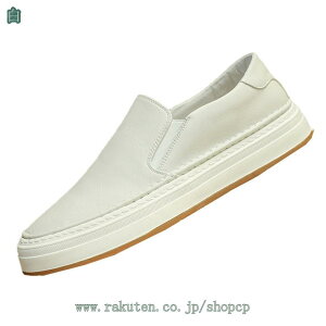 hCrOV[Y Y Xb| [t@[ Ƃ߂  l C V[Y JWAV[Y tH[} rWlX ʋ ʊw amC  ꂢ vC ̓ v