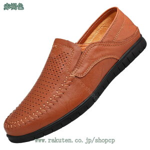 EH[LOV[Y Y jp [Jbg JV Xb| y ʋC 傫TCY hCrOV[Y AEghA ~ ϖ U _炩 ^]C Ȃ 