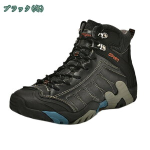 Xm[u[c Y Ȃ oRC V[gu[c hC EB^[u[c C N g  y h h fB[X [XAbv ʋ ʊw ᓹ AEghA s EH[L