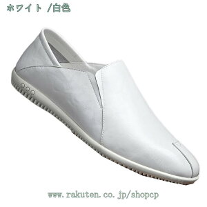 500~OFFN[| zCg JVV[Y [t@[ Xb| Y ʋC EH[LOV[Y rWlX JWAV[Y N amC vC h _sO ɂ t@b