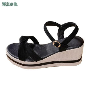 500~OFFN[| 傫TCY  T_ OfBG[^[T_ { O fB[X I[vgD nCq[ T_ EFbW\[ obNXgbv T_ r 