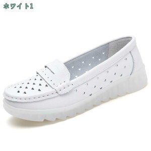 fB[X  JV  V[Y Xb| i[XV[Y [t@[V[Y Xb| Xj[J[ pvX EFbW\[ JWA V[Y C ʋ ʊw 