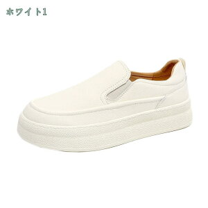 300~OFFN[| 傫TCY Xb| 5cmq[  fB[X Xj[J[ y TChSA RȂ q[Xj[J[ ₷ E₷ ɂȂ l EhgD JWA