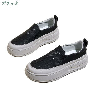 1000~OFFN[| Xb| tbg Xb|  fB[X V[Y Vv C Xj[J[ EH[LOV[Y JWAV[Y Xb| [Jbg fbLV[Y 