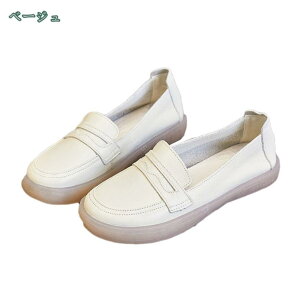 2000~OFFN[| [t@[ fB[X ₷  傫TCY ɂ tbgV[Y pvX ɂȂ r  ؂ }}V[Y l tďH~ ʊw w J