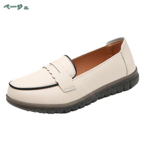 [t@[ fB[X q w _炩 wC tH[} pvX [q[ ꂢ ؂ ʋ ʊw w tbgV[Y JV ̎q WjA 킢 r q[ 