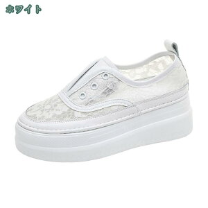 Xb| [t@[ fB[X bV  ₷   5cmq[ JWAV[Y Ȃ y ʋC Xj[J[ [Jbg 3e s ʊw Ă΂ 芴 