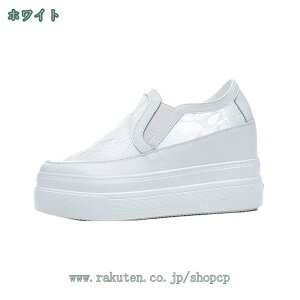 1000~OFFN[| Xb| fB[X Xj[J[ Xb| EH[LOV[Y JWA bV wlC ₷ ₷ Ōt w  e VN y y L