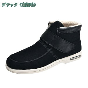 Xm[u[c Y ~p h rWlX JWA V[Y AEghAV[Y Xm[V[Y Ȃ ȐC EH[LO [gu[c Y amC hu[c  u[