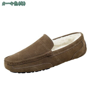 1000~OFFN[| vC Xb| [t@[ C V[Y jp Y t@[t ۉ h JWA rWlX JV amC TCY 傫TCY ʋ JWA am AE