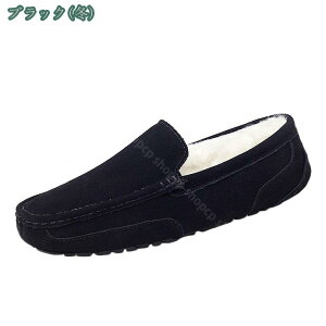 1000~OFFN[| vC Xb| [t@[ C V[Y jp Y t@[t ۉ h JWA rWlX JV amC TCY 傫TCY ʋ JWA am AE