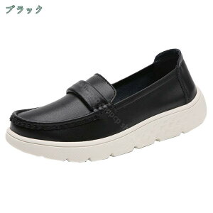 1000~OFFN[| JV [t@[ y^R fB[X _炩 wlC i[XV[Y JWA 傫TCY EH[LOV[Y n y r ɂ ԗ pv