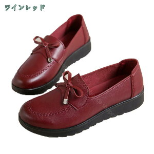 300~OFFN[| tbgV[Y fB[X [t@[ C V[Y [q[ tbg ʋC _炩 ₷ ɂ ؂ ʋ ʊw s o Xb| JV 