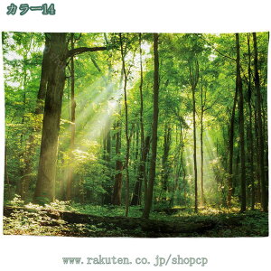 500~OFFN[| ^yXg[ X k  唻 Ǌ| RO[   k X ⑋̏ CeA rO[ xbh[ X ^yXg[ X X i  ڂ 