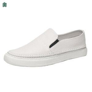 amC vC Y Xj[J[ EH[LOV[Y hCrOV[Y rWlXV[Y Xb| JWA ʋC h y ʋ ʊw X|[c AEghA ɂ ̓ 