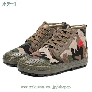 300~OFFN[| EB^[u[c L y ₷ ȌC N h  K y ₷ JWA ɂ ʋ ʊw jp ~C ʋ ʊw g  Ռz