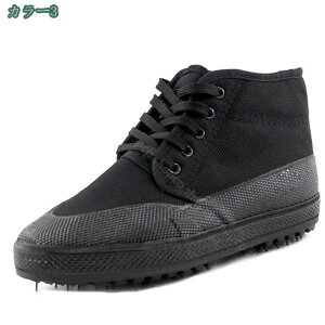 300~OFFN[| EB^[u[c L ~h y ₷ ȌC N h  K y ₷ JWA ɂ ʋ ʊw jp AEghAV[Y ȐC