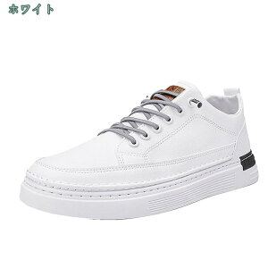 1000~OFFN[| ȃfUC JWAXj[J[ Y V[Y y  Xj[J[ V[Y [Jbg [XAbv y ʋC ~ ₷ EH[LO V