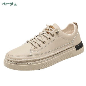 Xj[J[ JWAV[Y Y    y ʋC ~ JbRCC ʋ ʊw i x d Vv Ȃ [Jbg 킹₷ Z l ₷ 