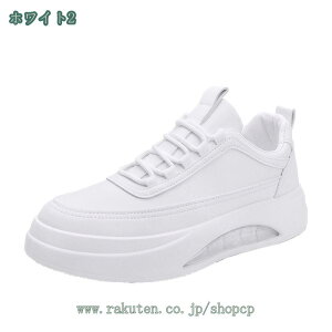 1650~OFFN[| Y Xj[J[ 傫TCY JWA  X|[c y EH[LOV[Y ʋ ʊw 풅p Ȃ V[Y jp [Jbg [XAbv h 
