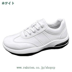 Y Xj[J[ 傫TCY JWA  X|[c y EH[LOV[Y ʋ ʊw 풅p Ȃ V[Y jp [Jbg [XAbv h ~ ʋC K