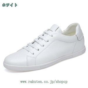 Xj[J[ ʊwC XN[V[Y 3E Y EH[LOV[Y L y U[Xj[J[ v X|[cV[Y  w j  z NbV ʊw  shopcp