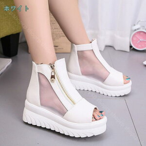  C V[Y y T_  V[g u[c q[ EFbW\[ Xj[J[ fB[X fB[X u[T T_ bV u[c EGbW\[  t@Xi[ 