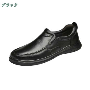 1650~OFFN[| Y hCrOV[Y y RC[t@[ C  amC   ʋ R[f ʋC ϖ _ ₷ rWlX ʋ c o fC[ t