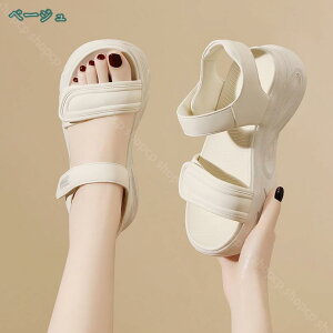 1000~OFFN[| X|[cT_ T_ X|[cT_ X|T Te 傫TCY TCY ₷ Xgbv fB[X fB[X  傫TCY TCY 