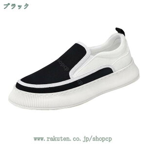 500~OFFN[| Xj[J[ Y ₷ ₷ _炩 t@bV [Jbg TCY Xj[J[ Ȃ y  킢 ʋ ʊw w ^C V[Y 