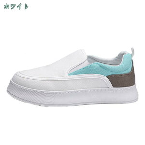 800~OFFN[| Xj[J[ Y ₷ ₷ _炩 t@bV [Jbg TCY Xj[J[ Ȃ y  킢 ʋ ʊw w ^C V[Y 