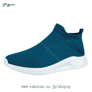 500~OFFN[| Y Xj[J[  JWAV[Y  X|[c y EH[LOV[Y ʋ ʊw 풅p Ȃ V[Y ₷ ₷ 킹₷ t