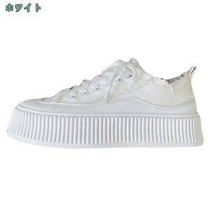 Y [Jbg Xj[J[  LoX NbV JWA fC[ X|[c EH[LO ʊw w  ₷ [Jbg x[VbN l 킢  ɂȂ y 