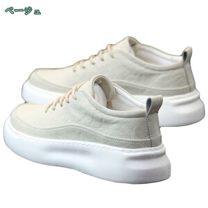 1000~OFFN[| Y Xj[J[  [Jbg V[Y JWA  X|[c ₷ ₷ x[VbN j C  fbLV[Y n Vv  