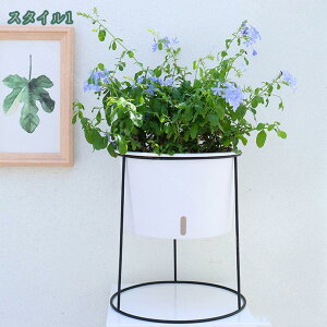 1000~OFFN[| t[X^h ACA  fR[VX^h K[fjO ԑ v^[  O I |bN K[fbN V | u ϗtA o