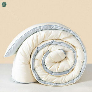 1000円OFFクーポン 掛け布団 シングル 洗える オールシーズン 薄手 軽い 合い掛け布団 通年 吸水 速乾 抗菌 防臭 軽量 丸洗いOK 洗濯OK 掛布団 掛ふとん 寝具 布団 年中快適 一人暮らし 新生活 掛