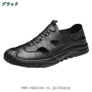 1650~OFFN[| [t@[ bV rWlXT_ Y f Xb| ^]C vC amC JWA Ep hCrOV[Y  Ȃ _炩 hL ʋC h 