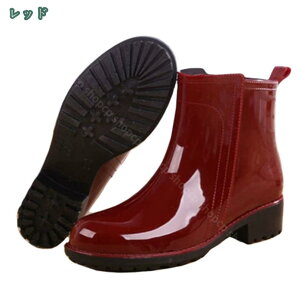 300~OFFN[| Cu[c Sh fB[X ꂢ񂵂[ JC y h ~J΍ 䕗 V[g hV[Y h ʋ ʊw CV[Y 傫TCY o[V[Y 