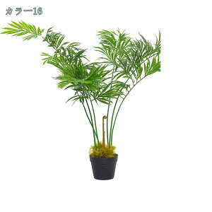 1000~OFFN[| tFCNO[ ^ lHϗtA CeA {̃fUC FN₩ ׍HJ ItBX  q Q x_  ze gpɕ֗ 