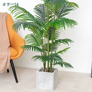 1000~OFFN[| tFCNO[ ^ lHϗtA CeA {̃fUC FN₩ ׍HJ ItBX  q Q x_  ze gpɕ֗ 