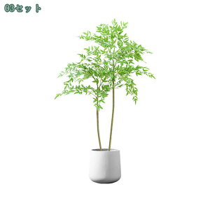 Ύ lHϗtA ^ tFCNO[ lHϗtA CeA  O ȒP sv Q쏜sv  ƒ 悯oRj[ Iȑ z̃Mtg A A 