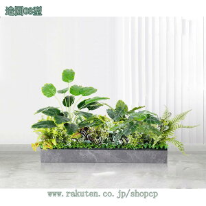 2000~OFFN[| tFCNO[  lHϗtA ^  ډBtFX rO X   i` ȒP ׍HJ Iȑ Mъϗt l AJ